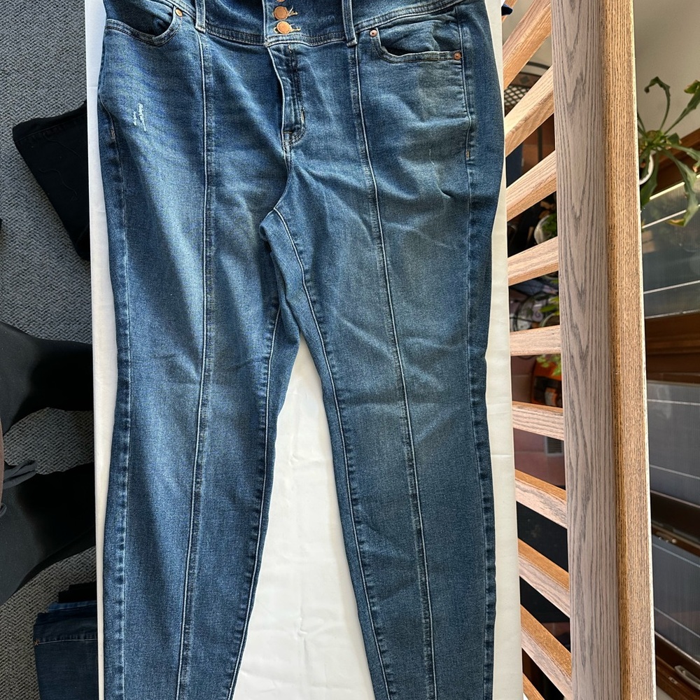 Lane Bryant High-Rise Jeggings